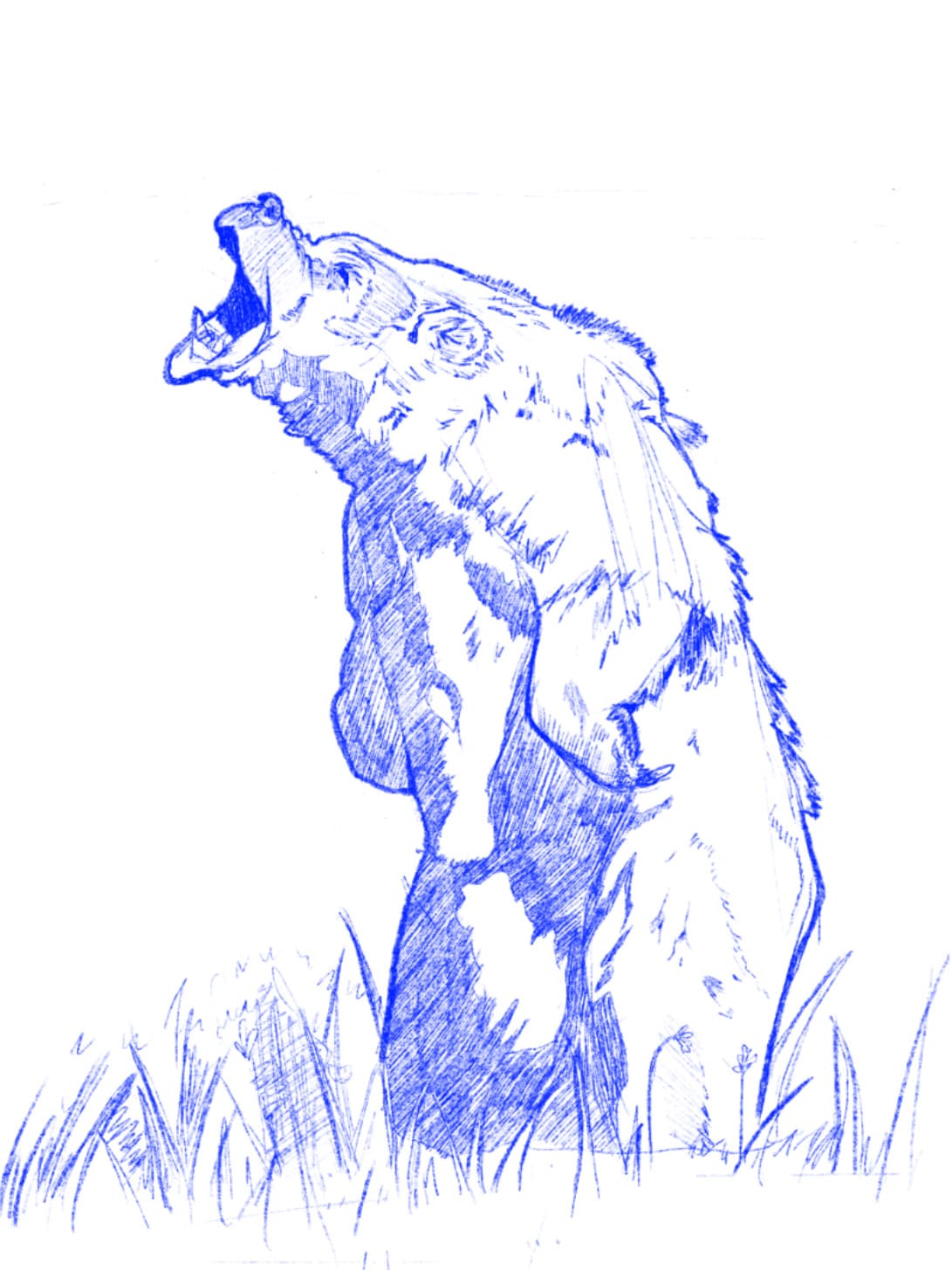 Sketchs